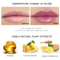 OEM Lipgloss  Moisturizer Lip Plumper Volume Long Lasting Sexy Big Lips Pump Transparent  Glitter Lipgloss